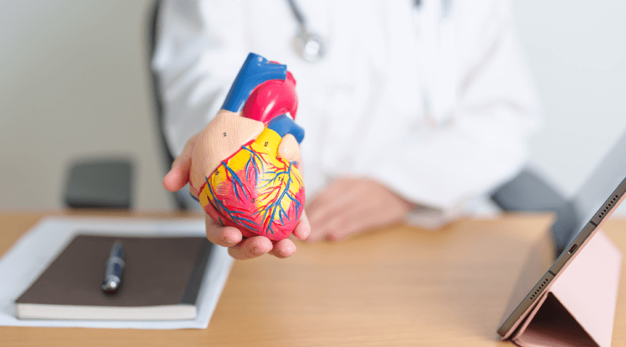 mejora-la-salud-cardiovascular
