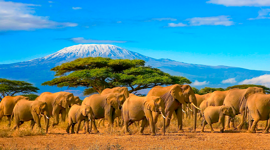 octubre-kenia
